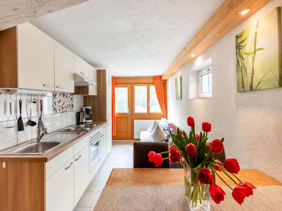 Apartment In The Silvretta-Montafon Ski Area Sankt Gallenkirch Esterno foto