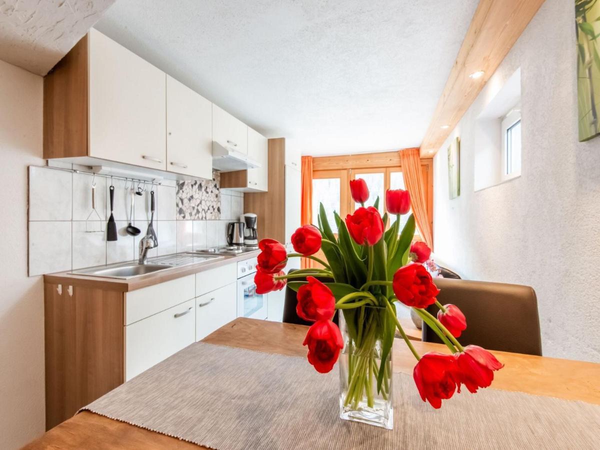 Apartment In The Silvretta-Montafon Ski Area Sankt Gallenkirch Esterno foto